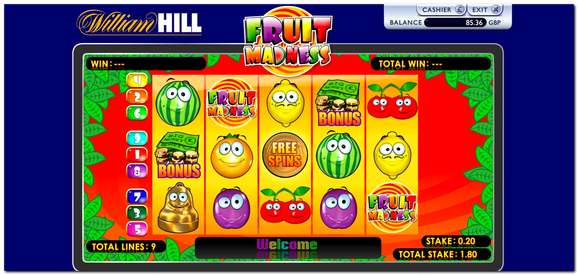 610% No Rules Bonus! at Casino Dingo